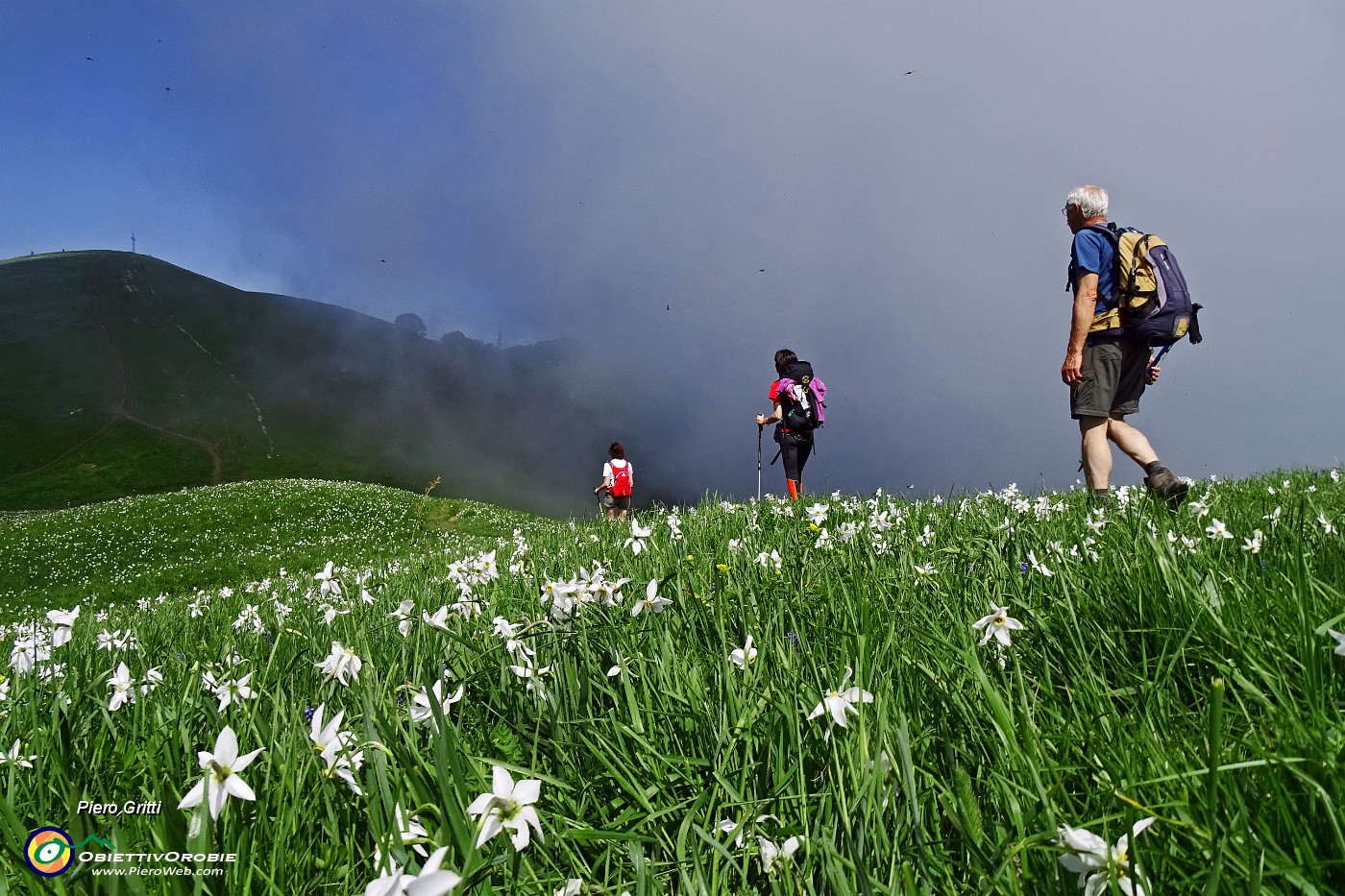 34 Salendo i dossi del Linzone, imbiancati di narcisi con uno sbuffo di nebbia....JPG -                                
